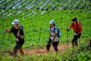 BIB: 
                            <button type="button" onclick="openModal(19164671)" class="btn btn-primary btn-sm float-right btn-popup" data-toggle="modal" data-target=".modal-high-quality">
                        <i class="fas fa-shopping-cart"></i> Add to Cart
                    </button>
                                            <button type="button" onclick="isThisMe(19164671, true)" class="btn btn-success btn-sm float-right btn-popup btn-isme hidden" data-toggle="tooltip" data-placement="bottom" title="นี่คือรูปของคุณใช่ไหม คลิกที่นี่เพื่อเอาเข้าอัลบั้ม">
                        <i class="fas fa-plus"></i> Add to album
                    </button>
                    <button type="button" onclick="isThisMe(19164671, false)" class="btn btn-warning btn-sm float-right btn-popup btn-isnotme hidden">
                        <i class="fas fa-ban"></i> Remove from album
                    </button>